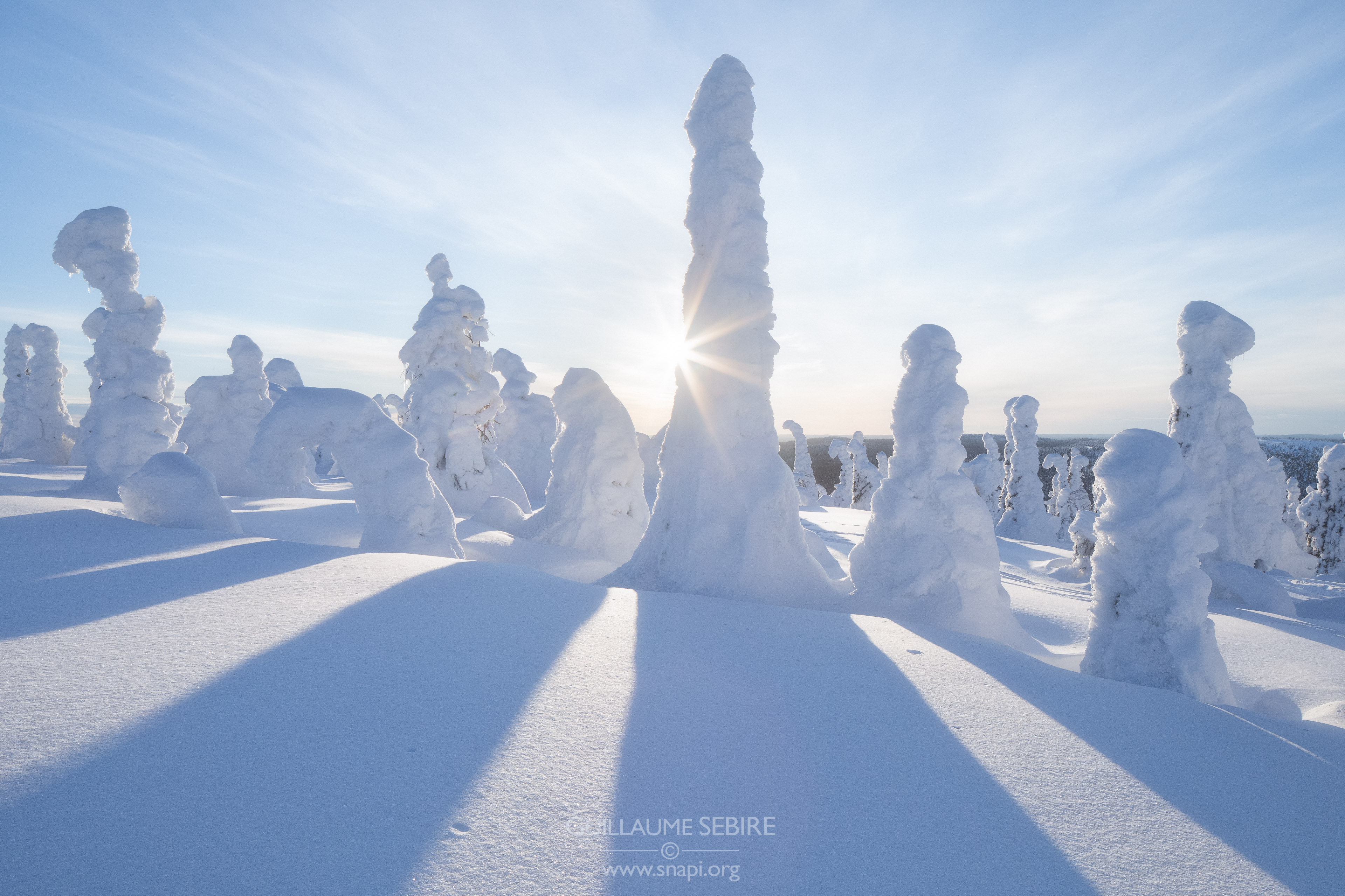 Snow trolls on Riisitunturi